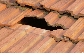 roof repair Broomhill
